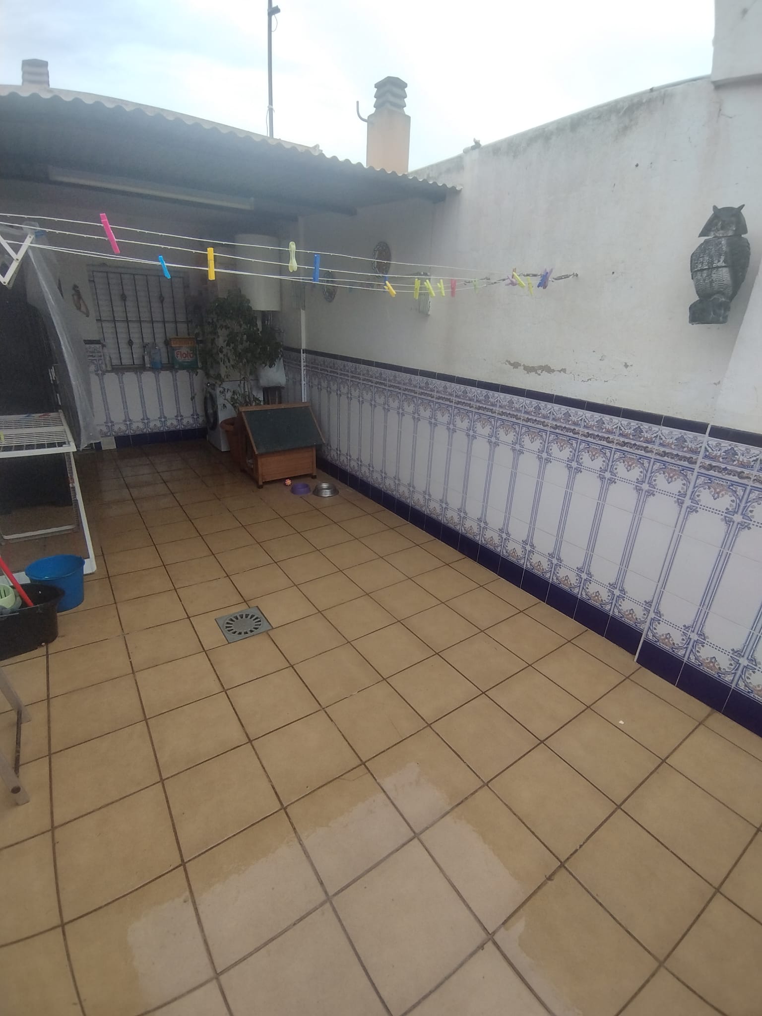 49909_foto 1 (40).jpeg